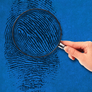 Managing SARs Investigations – Best Practice Guide